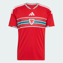 Camisa Pais de Gales 26/27 I